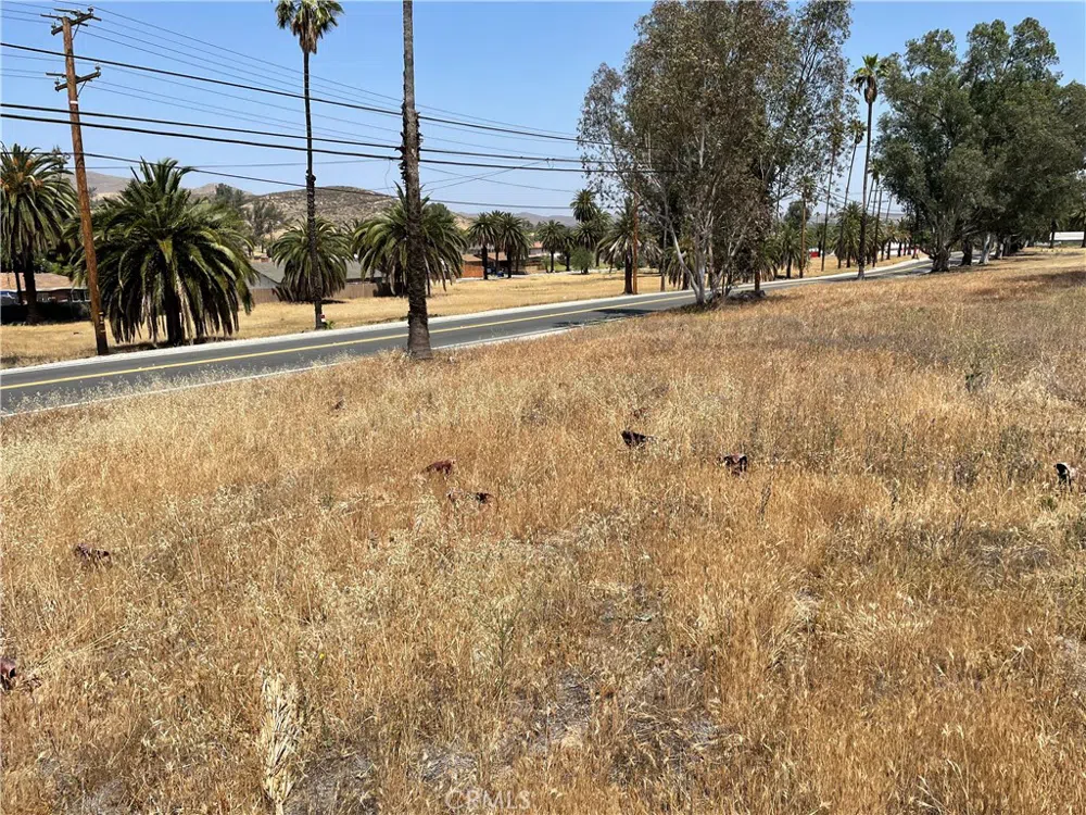 15 Riverside Drive Lake Elsinore, CA 92530