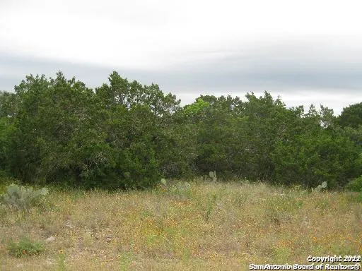 35 Cr 2731 Mico, TX 78056