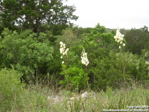 35 Cr 2731 Mico, TX 78056