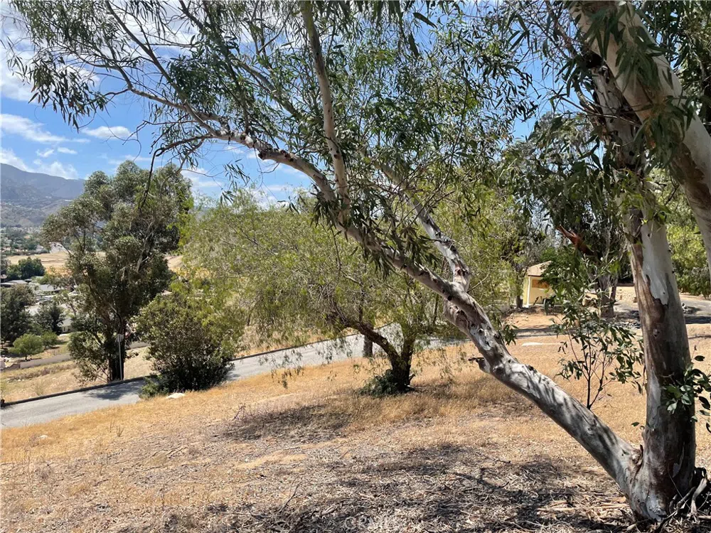 15 Bailey Drive Lake Elsinore, CA 92530