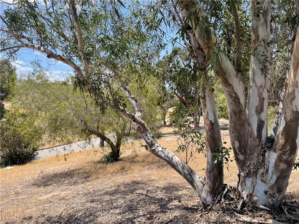 15 Bailey Drive Lake Elsinore, CA 92530