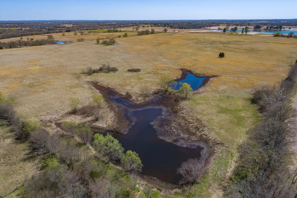 CR 1604 Grand Saline, TX 75140