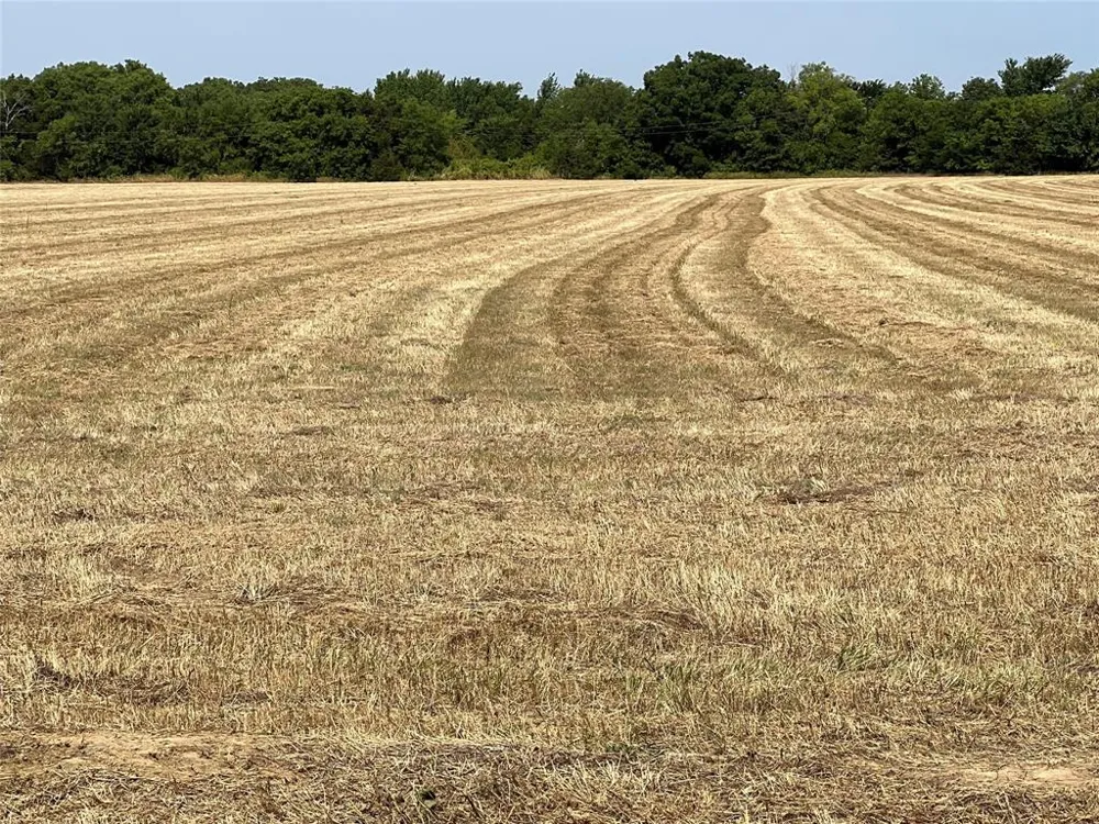 Rodgers Road Sadler, TX 76264
