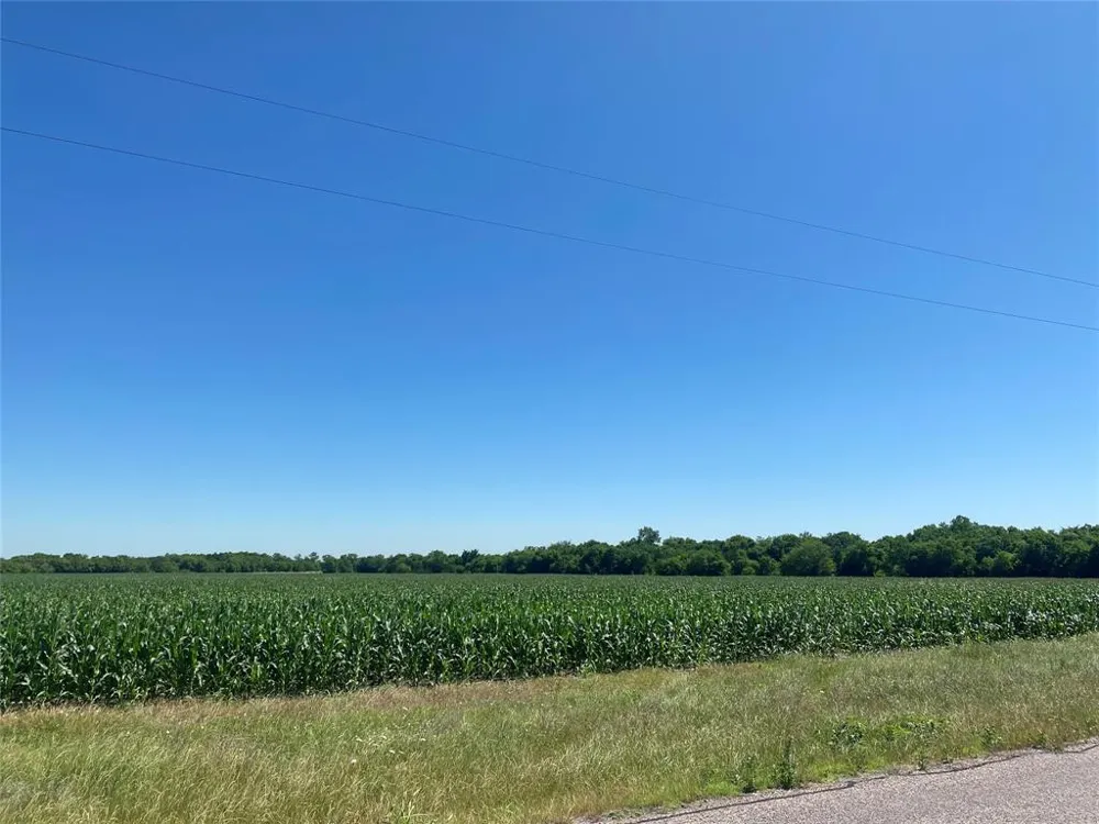 CR 637-Lot 1 Nevada, TX 75173