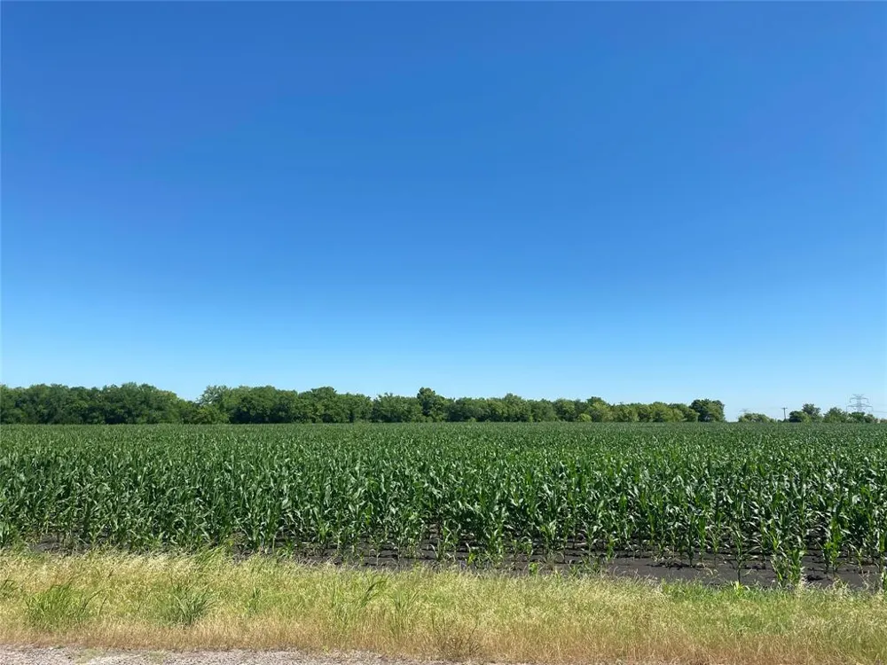 CR 637-Lot 1 Nevada, TX 75173