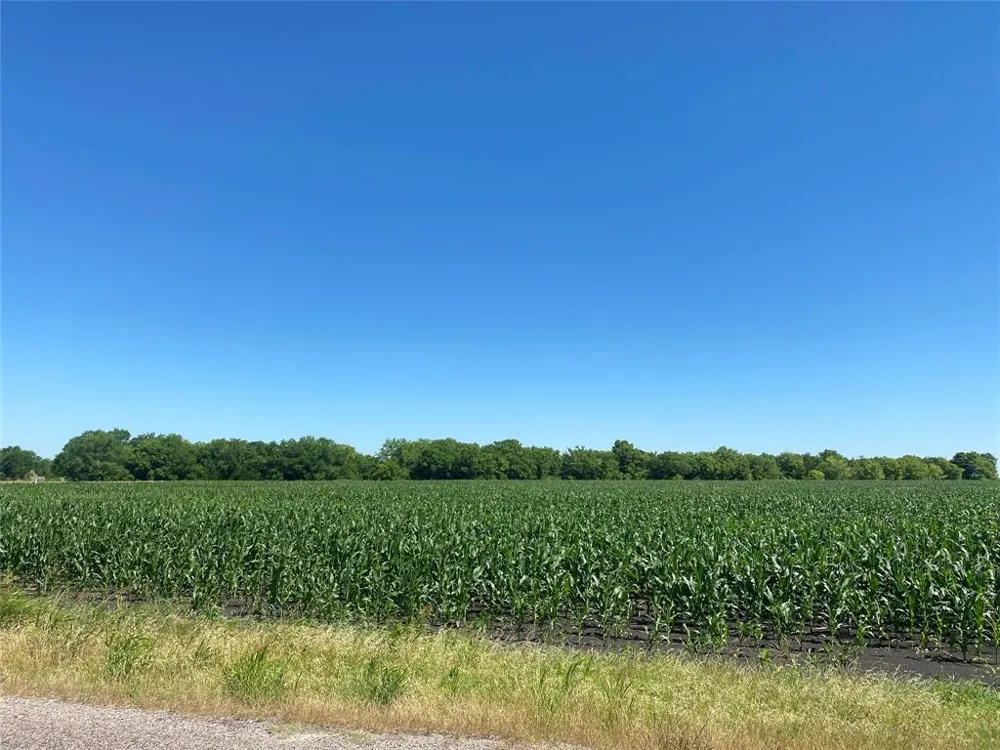 CR 637-Lot 1 Nevada, TX 75173
