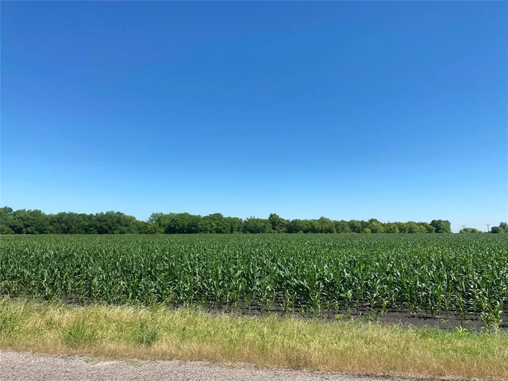 CR 637-Lot 1 Nevada, TX 75173