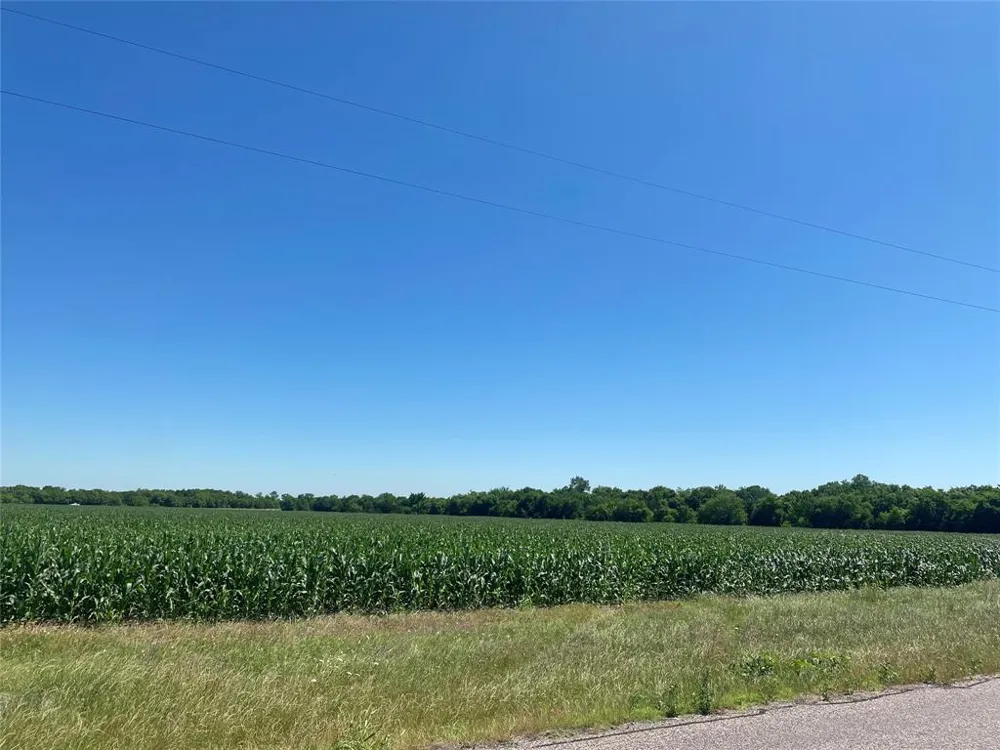 CR 637-Lot 1 Nevada, TX 75173