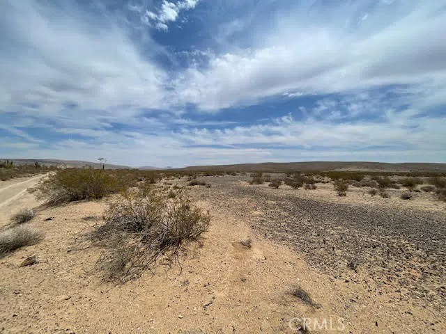 Salamader Boulevard Barstow, CA 92311
