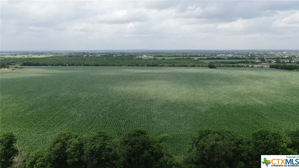 Schmoekel Road Marion, TX 78124