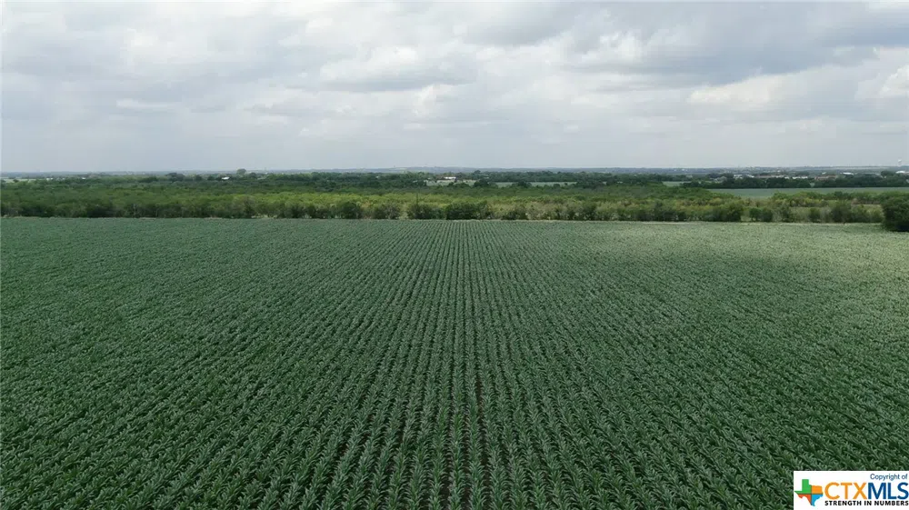Schmoekel Road Marion, TX 78124