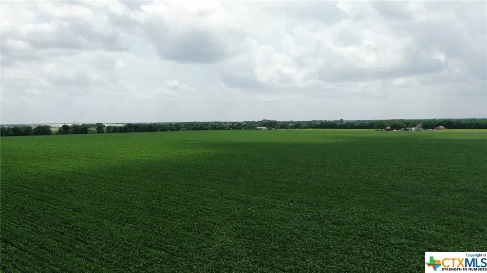 Schmoekel Road Marion, TX 78124