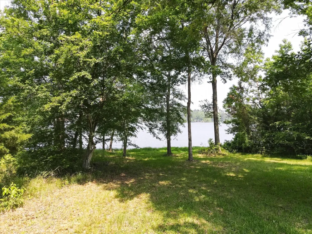 13475 Mary Wagner Willis, TX 77318