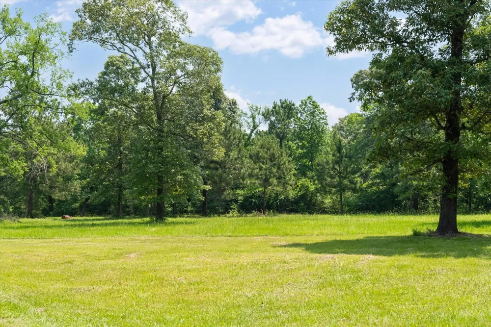 13475 Mary Wagner Willis, TX 77318