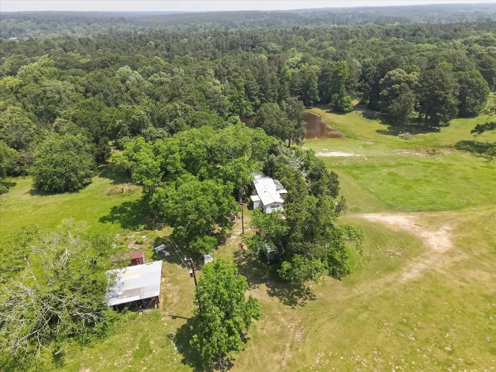 13475 Mary Wagner Willis, TX 77318
