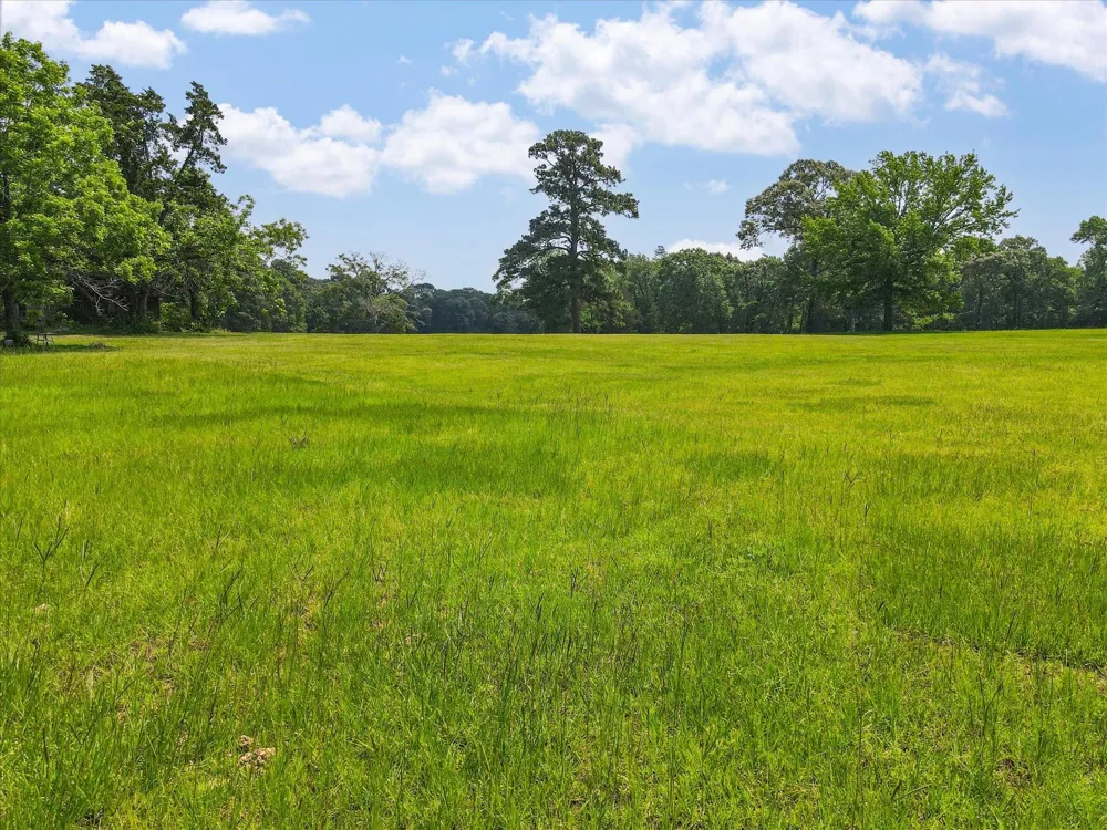 13475 Mary Wagner Willis, TX 77318