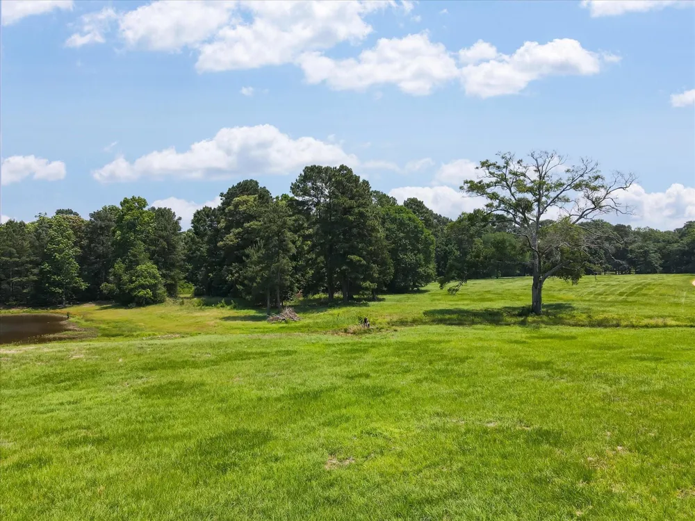 13475 Mary Wagner Willis, TX 77318