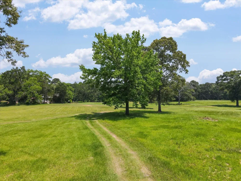 13475 Mary Wagner Willis, TX 77318