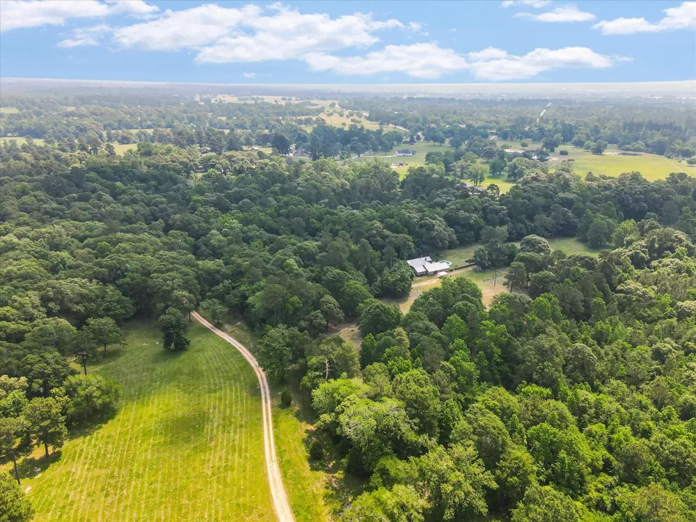 13475 Mary Wagner Willis, TX 77318