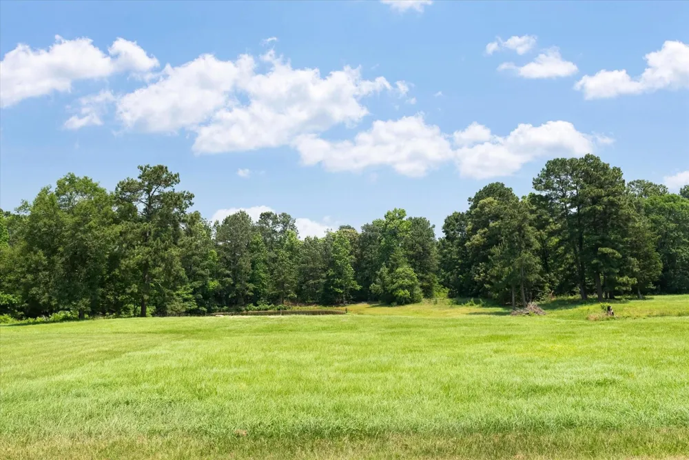 13475 Mary Wagner Willis, TX 77318
