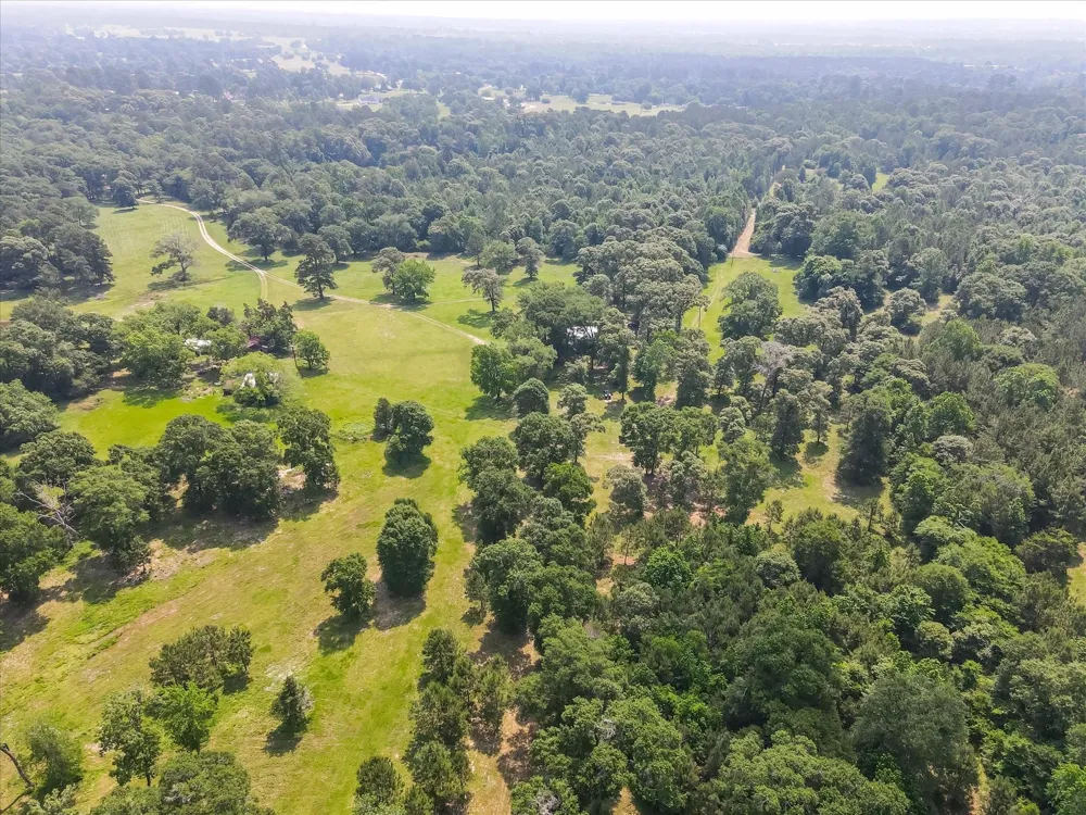 13475 Mary Wagner Willis, TX 77318