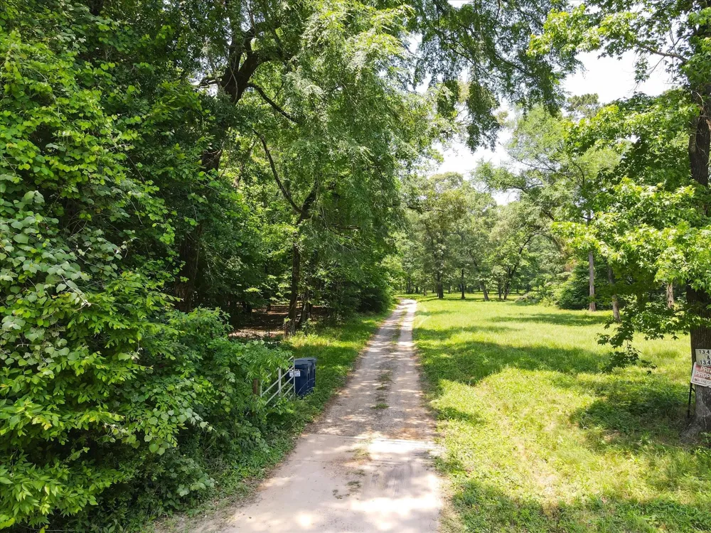 13475 Mary Wagner Willis, TX 77318
