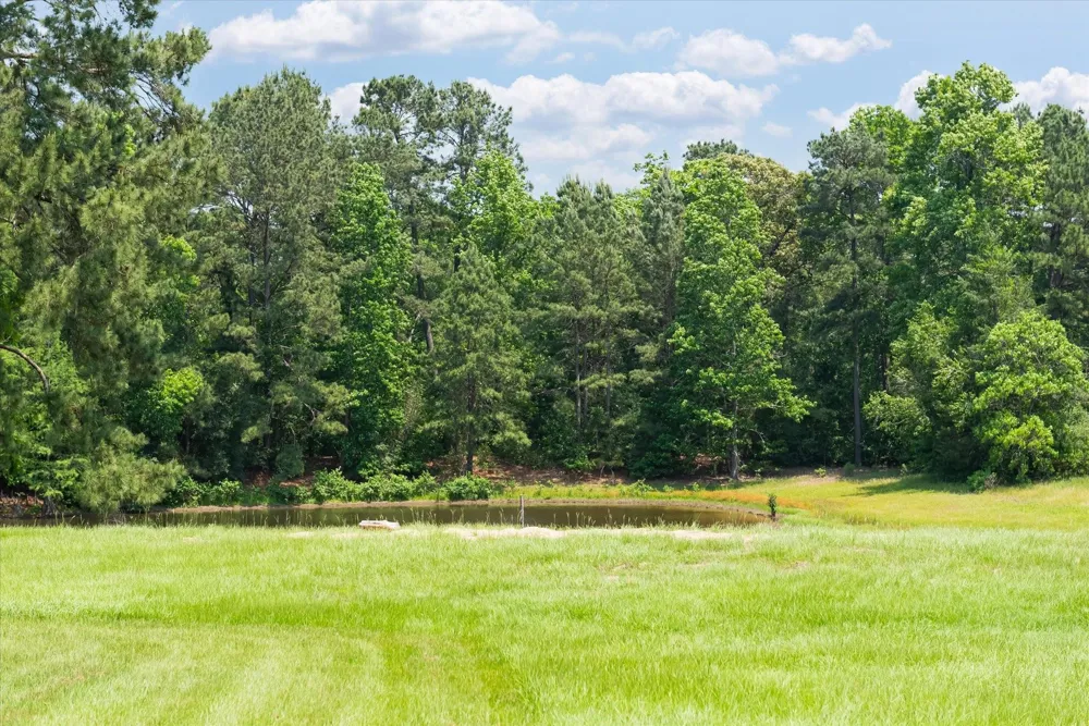13475 Mary Wagner Willis, TX 77318