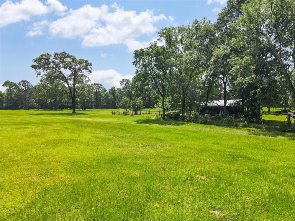 13475 Mary Wagner Willis, TX 77318