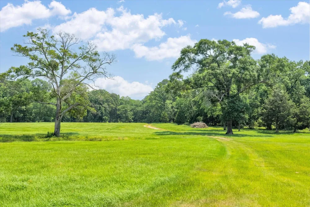 13475 Mary Wagner Willis, TX 77318