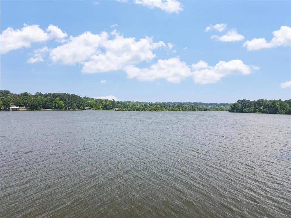 13475 Mary Wagner Willis, TX 77318