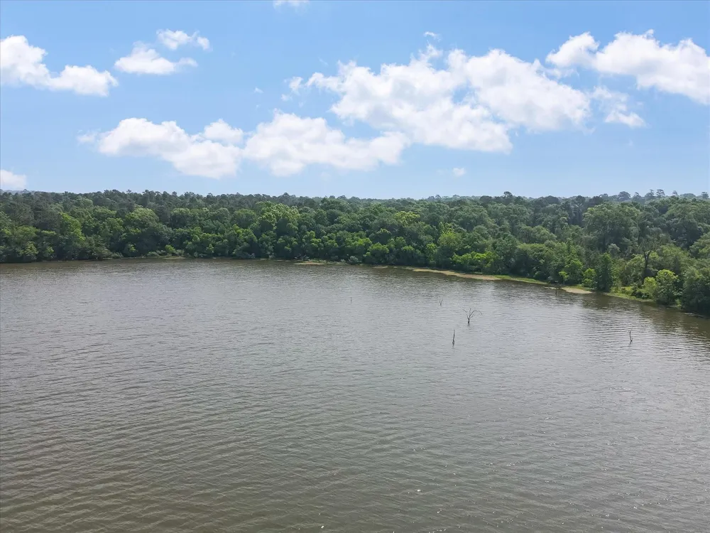 13475 Mary Wagner Willis, TX 77318