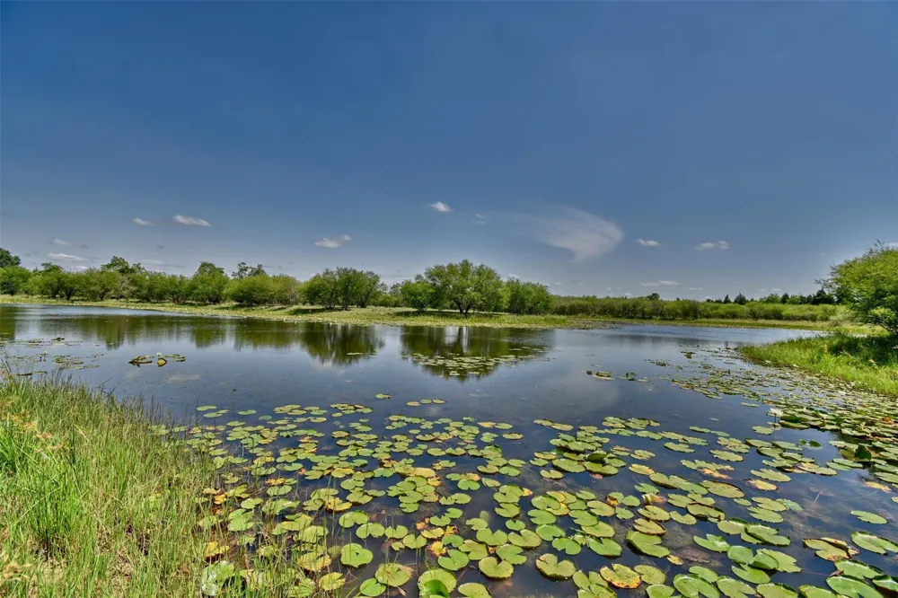1721 Columbus Road Sealy, TX 77474