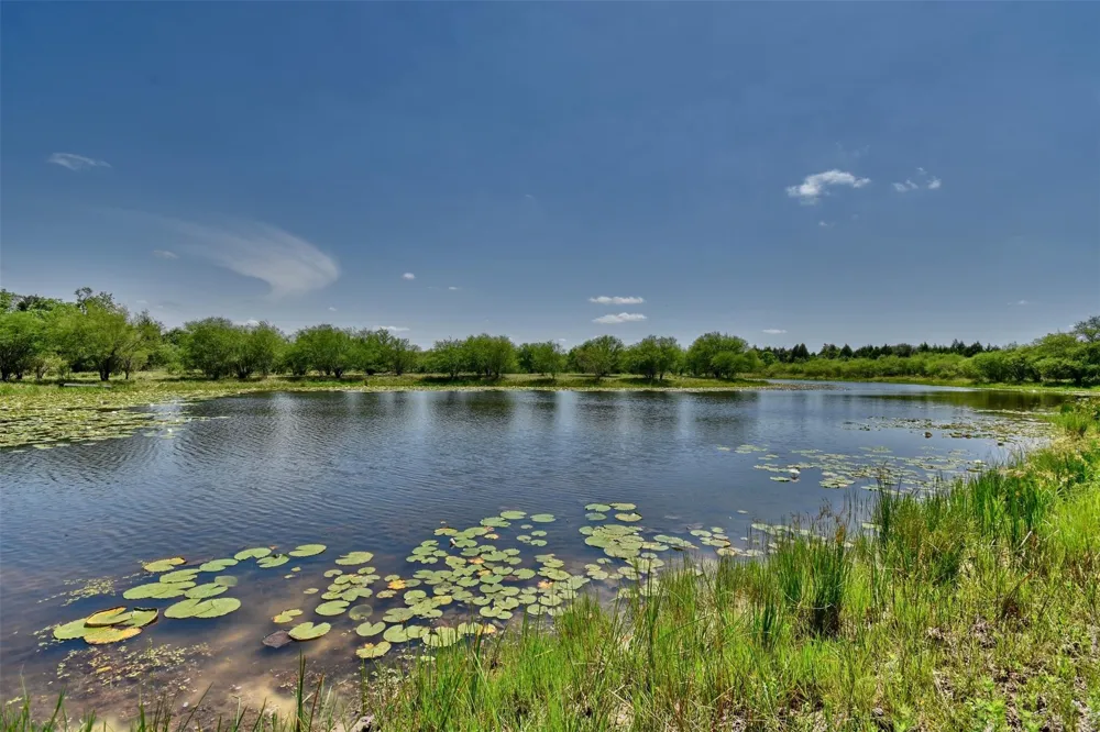 1721 Columbus Road Sealy, TX 77474