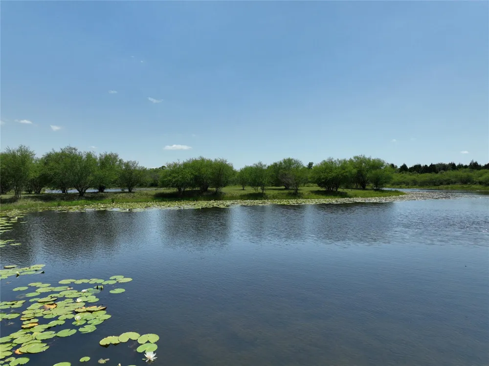 1721 Columbus Road Sealy, TX 77474