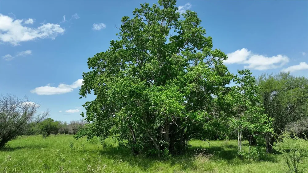 1721 Columbus Road Sealy, TX 77474