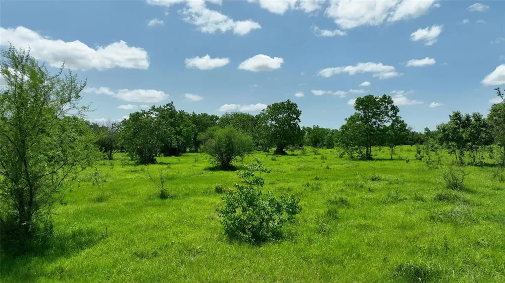 1721 Columbus Road Sealy, TX 77474