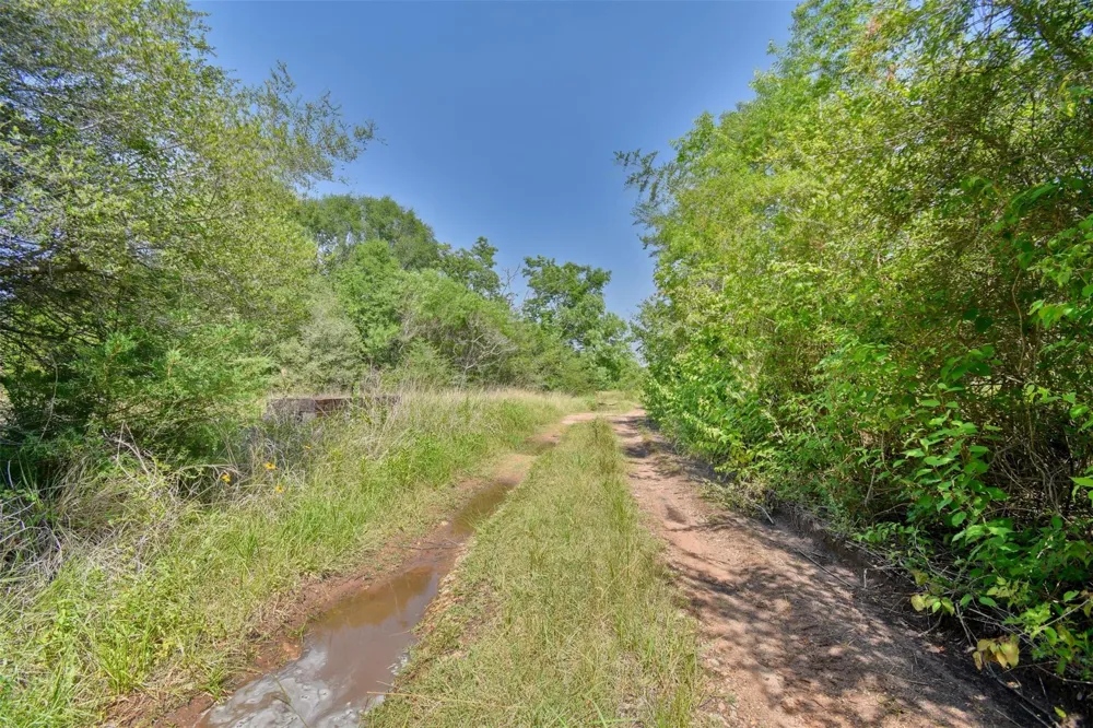 1721 Columbus Road Sealy, TX 77474