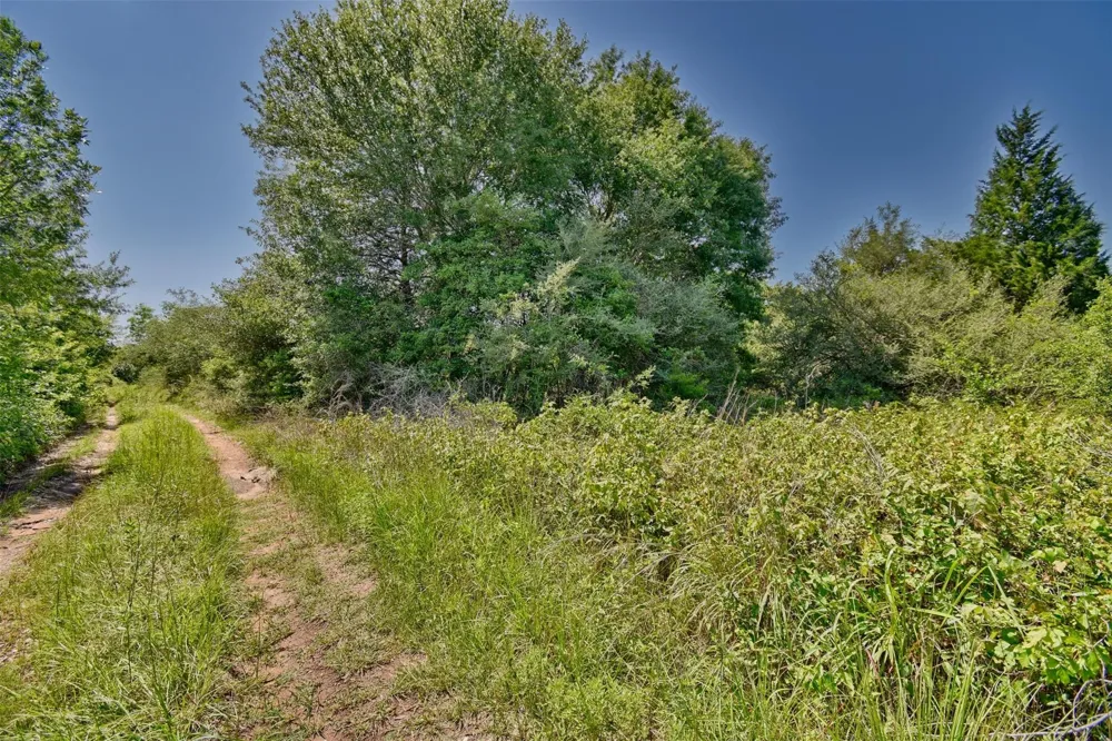 1721 Columbus Road Sealy, TX 77474