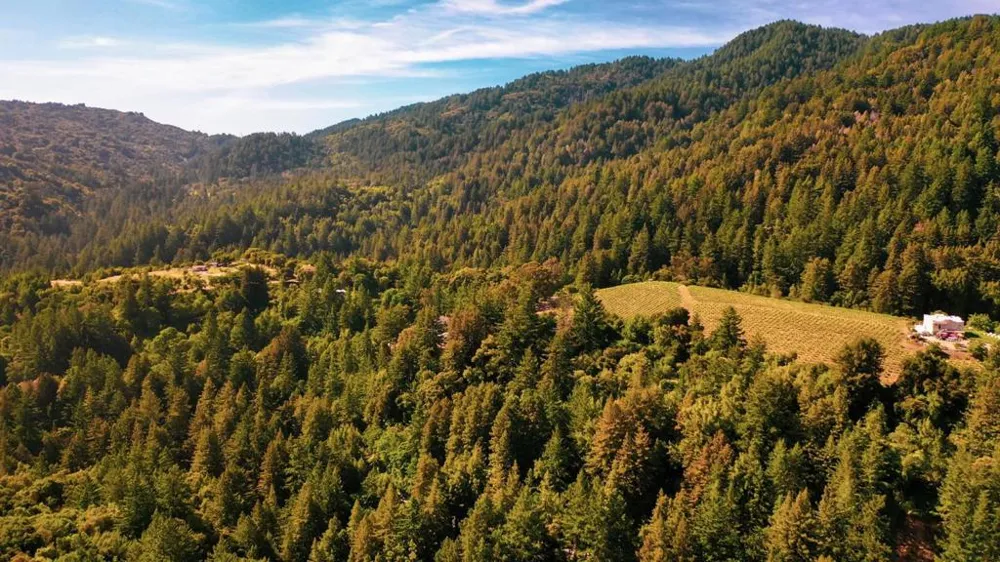 Congress Springs Saratoga, CA 95070