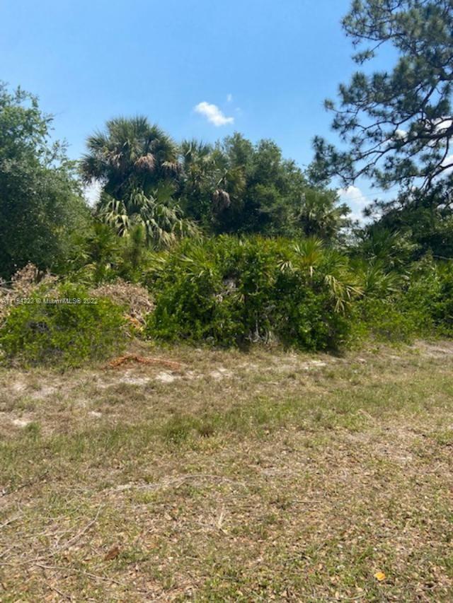 5029 TradeWinds Cir La Belle, FL 33935