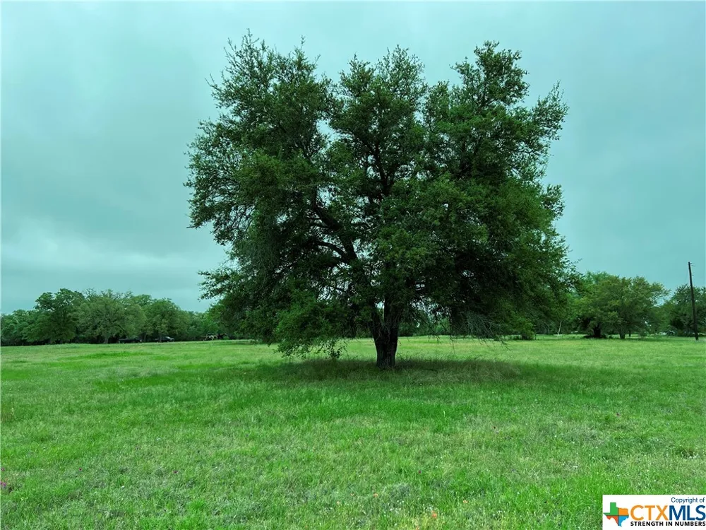 3 PVT 1671 Hallettsville, TX 77964