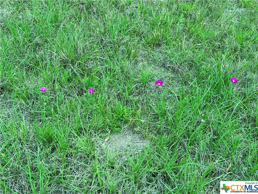 3 PVT 1671 Hallettsville, TX 77964