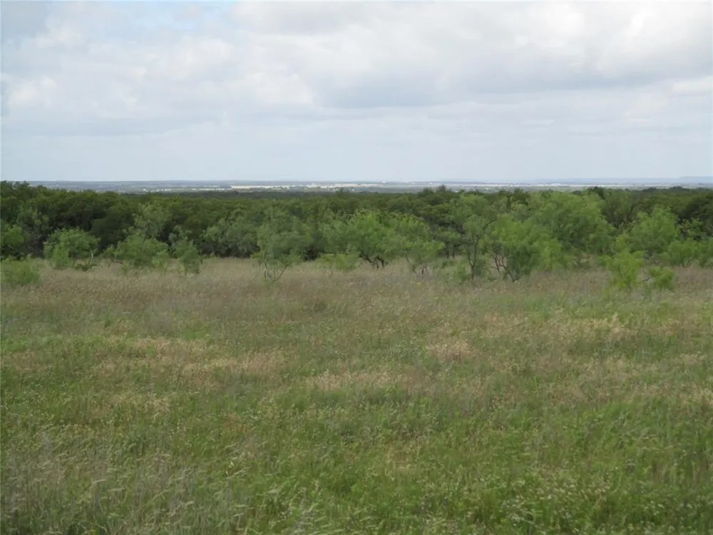 13 Elenburg Rd Perrin, TX 76486