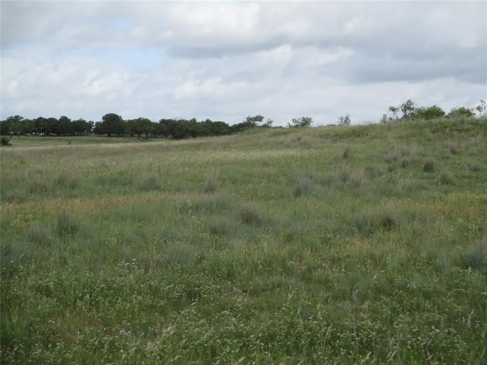 13 Elenburg Rd Perrin, TX 76486