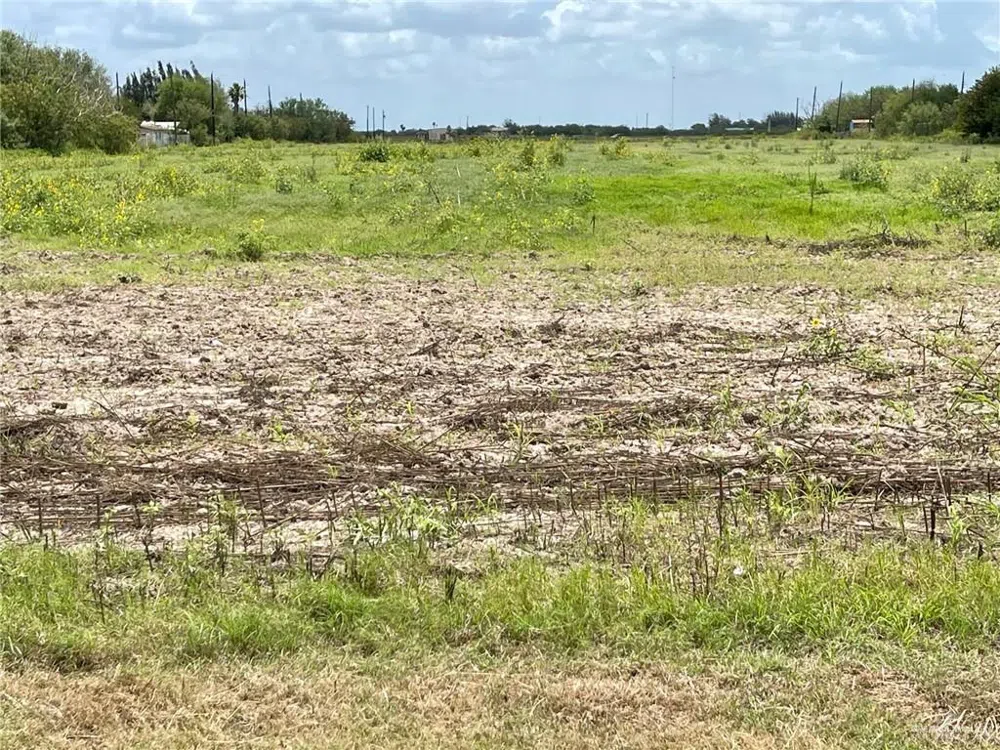 TBD FM 1015 ROAD Progreso, TX 78579
