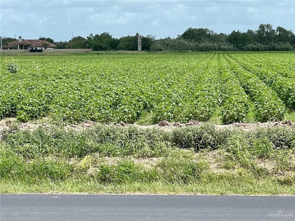 TBD Military Road Progreso, TX 78579