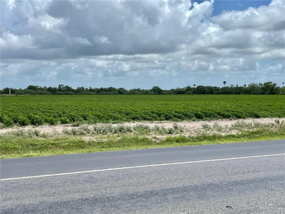 TBD Military Road Progreso, TX 78579