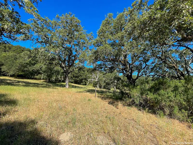 34221 Robinson Canyon Road Carmel, CA 93923