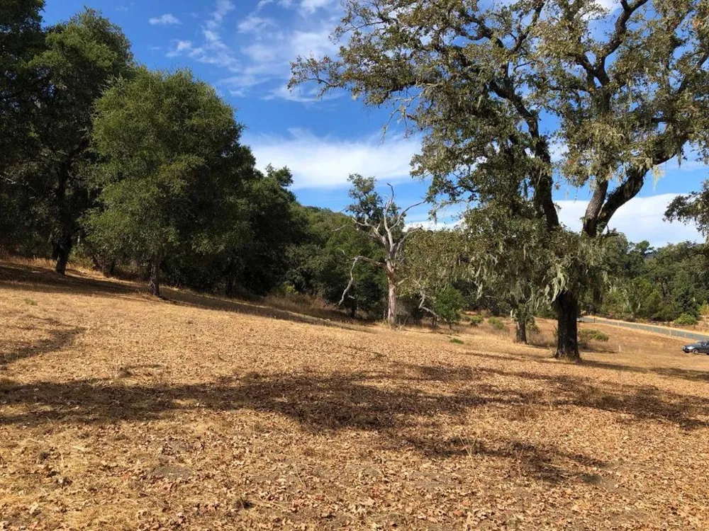 34221 Robinson Canyon Road Carmel, CA 93923