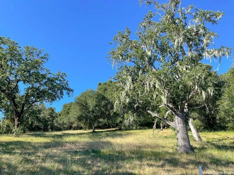 34221 Robinson Canyon Road Carmel, CA 93923